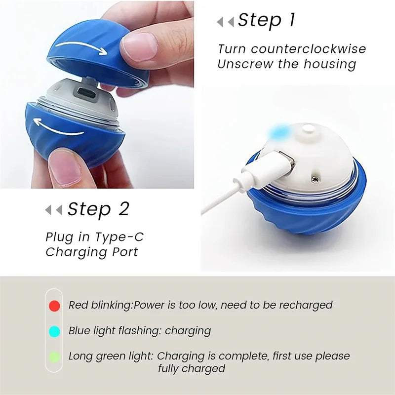 Smart Automatic Moving Bouncing Ball for Pet