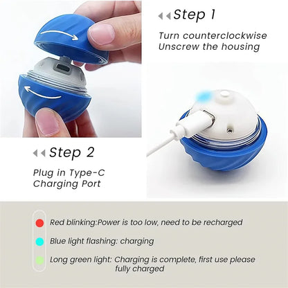 Smart Automatic Moving Bouncing Ball for Pet