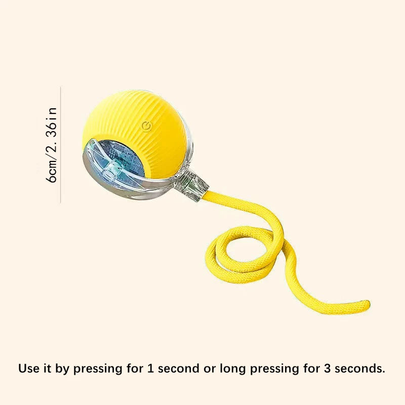 Smart Automatic Moving Bouncing Ball for Pet