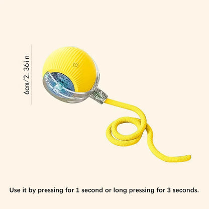 Smart Automatic Moving Bouncing Ball for Pet