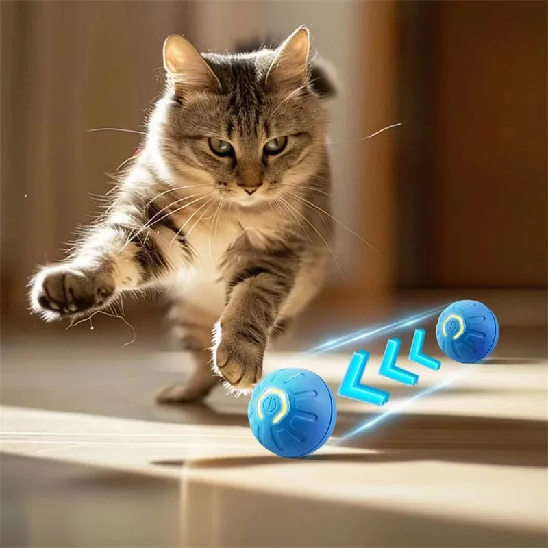 Smart Automatic Moving Bouncing Ball for Pet