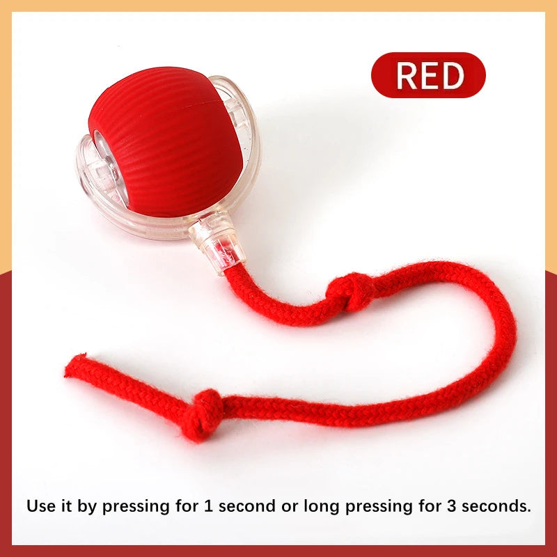 Smart Automatic Moving Bouncing Ball for Pet