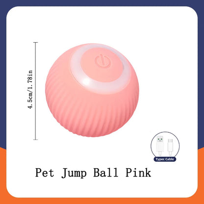 Smart Automatic Moving Bouncing Ball for Pet