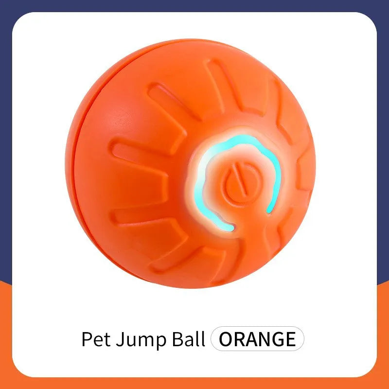 Smart Automatic Moving Bouncing Ball for Pet