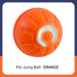 Smart Automatic Moving Bouncing Ball for Pet