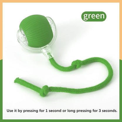 Smart Automatic Moving Bouncing Ball for Pet