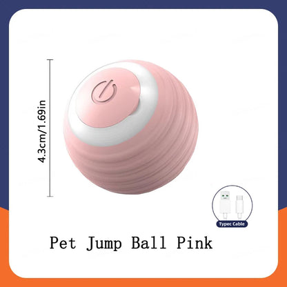 Smart Automatic Moving Bouncing Ball for Pet