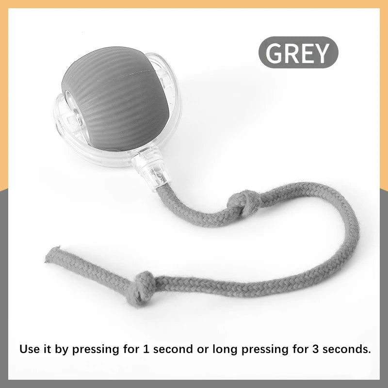 Smart Automatic Moving Bouncing Ball for Pet