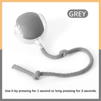 Smart Automatic Moving Bouncing Ball for Pet