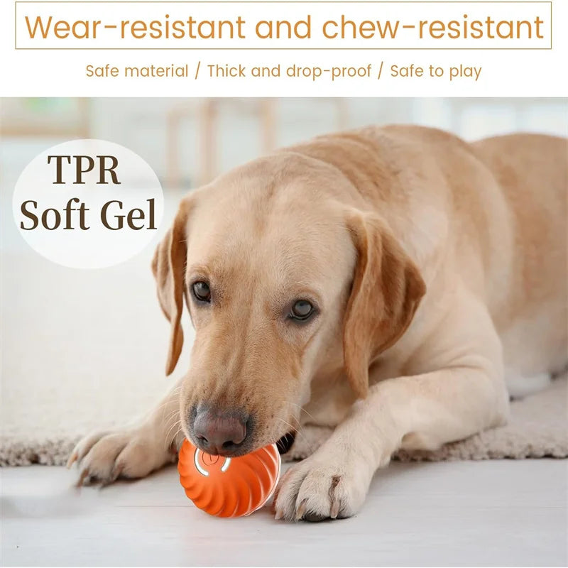 Smart Automatic Moving Bouncing Ball for Pet