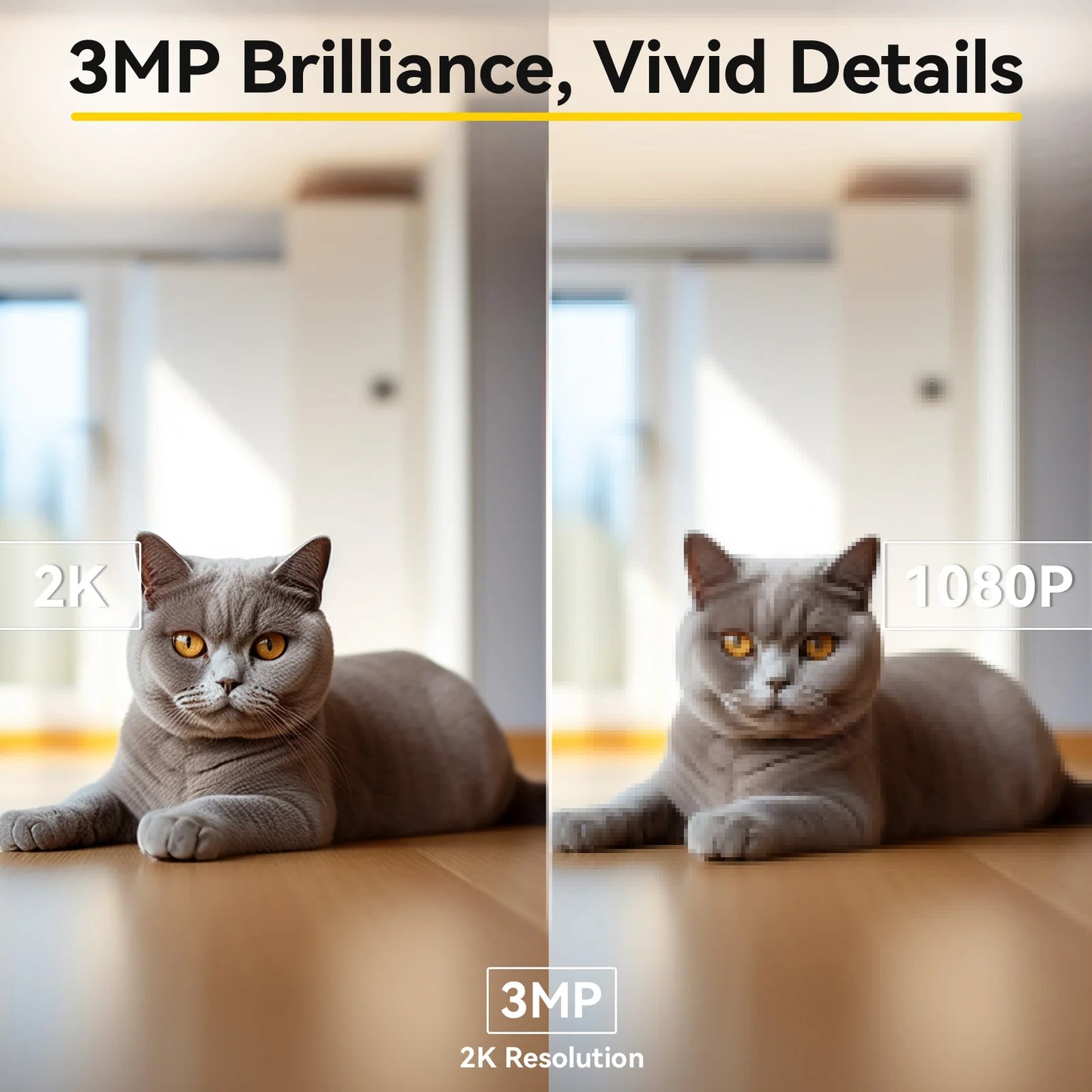 Pet Camera with Phone App ( 360° Pan & Tilt, 2-Way Audio, Night Vision)
