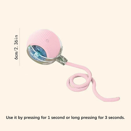 Smart Automatic Moving Bouncing Ball for Pet